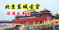 鸡巴好大啊快操我视频中国北京-东城古宫旅游风景区